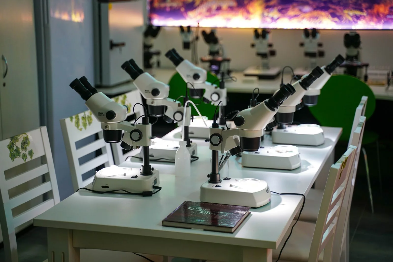 配有多台显微镜的医学与生命科学实验空间